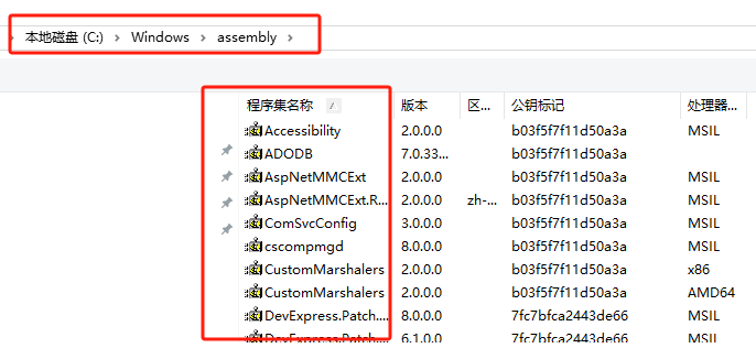 DevExpress v24破解步骤