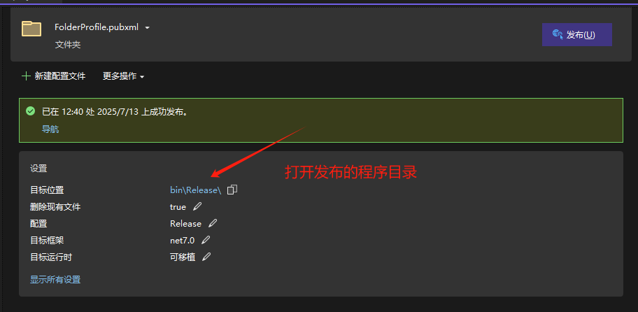使用VS2022发布WebApi