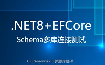 NET8+EFCore+Schema多库连接测试-开发框架文库